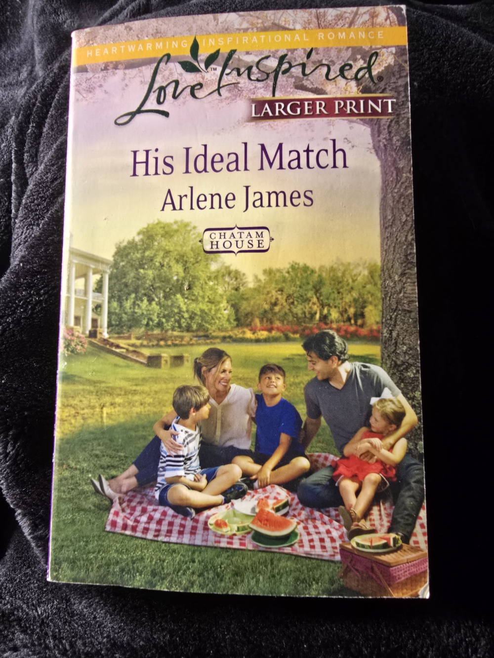 Love Inspired: His Ideal Match by Arlene James - Larger Print (Purple Cover)